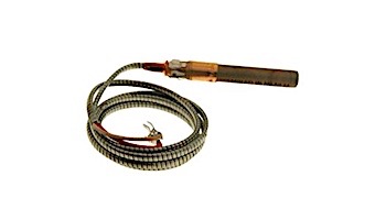 Pentair Pilot Generator Q313 with Clip Millivolt P24726 | 071515