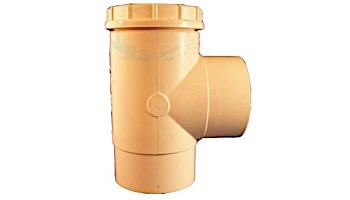 Pentair Ortega Spring Check Valve 90 Degree CPVC 1.5" | 010651