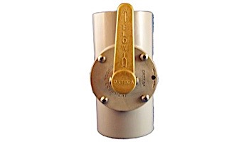 Pentair Ortega 3-Port Valve CPVC 1.5"x2" | 010631