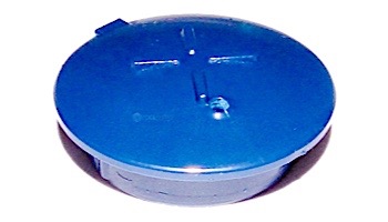 Pentair Cartridge Plug | Blue | R172014