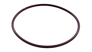 Pentair Lid to Housing O-Ring | R172223