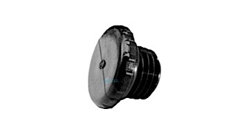 Pentair Access Plug 1/4" MNPT Connection | R172392