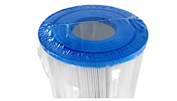 Pentair Replacement Cartridge Clean and Clear Plus 520 | R173578