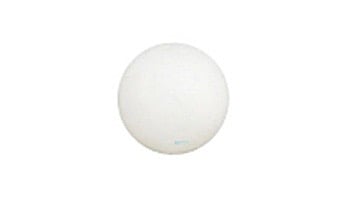 Pentair Rainbow 1" Poly Check Ball for HC Series Chlorinator | R172435