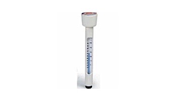 PENTAIR R141106  (BUBBLE PACK) THERMOMETER FLOATING #133