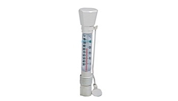 Pentair E-Z Read Combo Sink-Float Thermometer | #136 | R141200