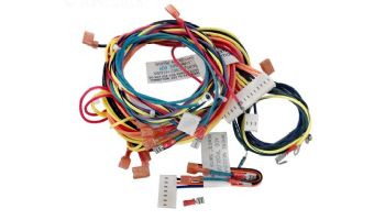 Raypak Wire Harness | IID Units | 009490F