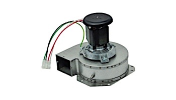 Raypak Complete Blower Assembly for 207-407K BTU Low Nox Heaters | 010042F