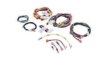 Raypak Wire Harness 207-407 | 010347F