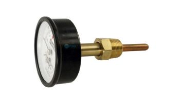 Raypak Temperature & Pressure Gauge Kit | 007399F