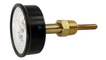 Raypak 0-230 PSI Temp & Pressure Gauge Kit | 014221F