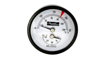 Raypak Temperature & Pressure Gauge Kit | 007399F