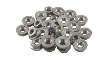 Raypak Flange Nut Kit 1/4"-20 | 008259F