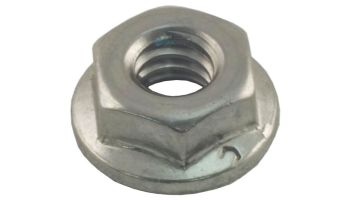 Raypak Flange Nut Kit 1/4"-20 | 008259F