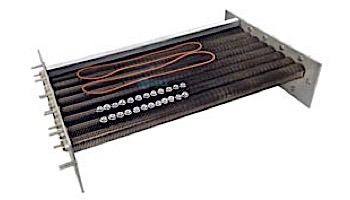 Raypak Heat Exchanger Tube Bundle Copper 336 337 Polymer Header Heaters | 010061F