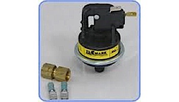 Raypak Heater Pressure Switch | 062237B