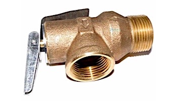 Raypak Pressure Relief Valve 125 PSI | 008091F