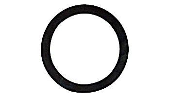 Raypak Heater Element Gasket | 800164