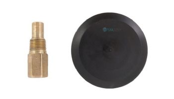Raypak Rear Drain Plug and Cover | 005264F