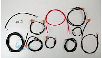 Raypak Wire Harness Millivolt Versa 055A | 004010F