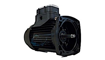 Marathon Electric imPower Variable Speed Square Flange Pool Motor 1.25HP RB003 | SN003