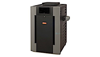 Raypak Digital Natural Gas Pool Heater 200K BTU |  Electronic Ignition Digital | High Altitude #51 2000-6000 Feet | P-M206A-EN-C 009966 | P-D206A-EN-C 009998 | P-R206A-EN-C 009220