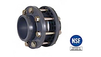 Fluidra USA 6" Flange Kit SS | 02376US