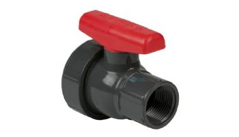 Spears 2" Ball Valve Socket End | Gray | 2412-020G