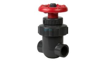 Spears 1" Gate Valve PVC S/S | 2012-010