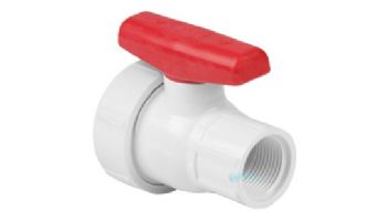 Spears 2" FIP Ball Valve with Union | White | 2411-020W