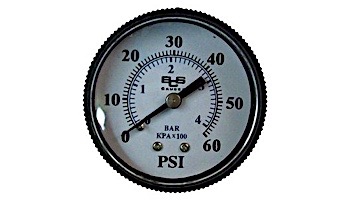 Birch Instruments 2" Pressure Gauge 0-60# Plastic 1/4" NPT Back  Mount