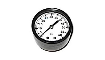 SuperPro Filter Pressure Gauge  2" 0-60# 1/4" Black Steel | 80860BU