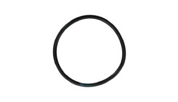 Super-Pro C3 Spacer/Filter Lid/ Bulkhead O-Ring | 8343-60