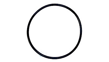 Pentair WhisperFlo & IntelliFlo Seal Plate Gasket | Almond | 357102 | 357102Z