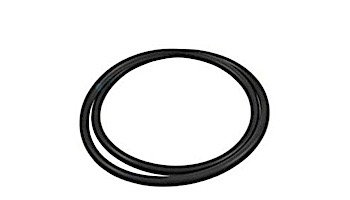 Aladdin O-Ring for Hayward Pro-Grid Micro-Clear Fiberglass-Plastic Filter Tanks DEX2400K O-429-9