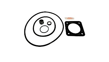 Seal & Gasket Kit for Sta-Rite Max-E-Glas and Dura-Glas Pump | GO-KIT6-9