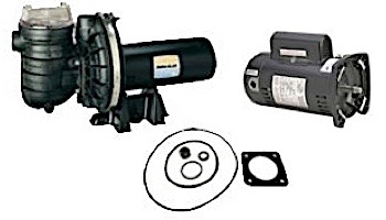 Replacement Square Flange Pool & Spa Motor | 2HP Full-Rated/2.5HP Up-Rated | 48 Frame Standard Efficient | 230V | AE100GHL | ESQ1202 | EUSQ1252 | SQ1202 | USQ1252 | HSQ260 | ASQ260