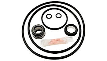 Seal & Gasket Kit for Jacuzzi Magnum Pool Pumps | GO-KIT14 APCK1007