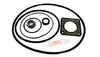 Seal & Gasket Kit Ultra Flow Pump | GO-KIT20 APCK1014