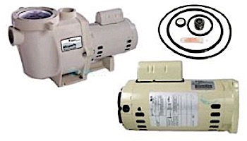 Replacement Square Flange Motor for Pentair Pumps | Energy Efficient | 115/208/230V 0.75HP | Almond | 071313S BPA449 EB661A 355008S | ASB661A