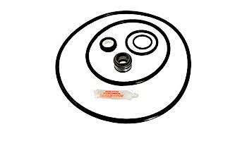 Seal & Gasket Kit for Sta-Rite Max-E-Glas II and Dura-Glas II Full-Rated Pump | GO-KIT38-9