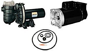 Replacement Square Flange Pool & Spa Motor | 2HP Full-Rated/2.5HP Up-Rated | 48 Frame Standard Efficient | 230V | AE100GHL | ESQ1202 | EUSQ1252 | SQ1202 | USQ1252 | HSQ260 | ASQ260