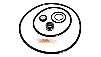 Seal & Gasket Kit for Sta-Rite Max-E-Glas II and Dura-Glas II Full-Rated Pump | GO-KIT38-9