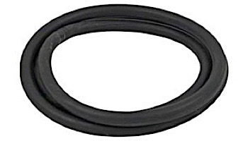 Pentair Tank Body O-Ring | 27001-0061S