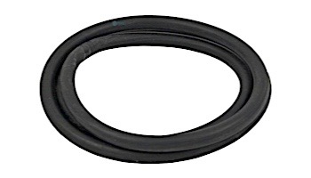 Pentair Tank Body O-Ring | 27001-0061S