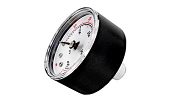 Pentair Valve & Gauge Assembly System | 24850-0105
