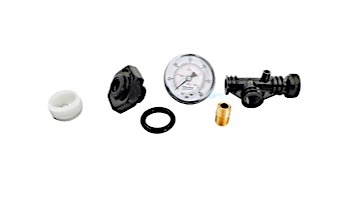 Pentair Valve & Gauge Assembly System | 24850-0105