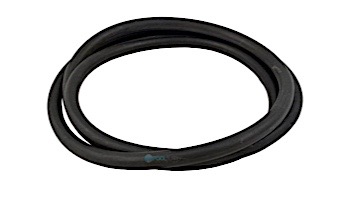 Sta-Rite Tank O-Ring for 25" System 3 Tank | 24850-0009