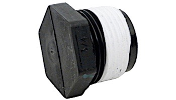 Pentair Pipe Plug 3/4 Inch NPT Connection | WC78-38T