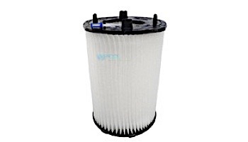 Pentair DE Replacement Module 30 Sq Ft PLD50 |  27002-0030S